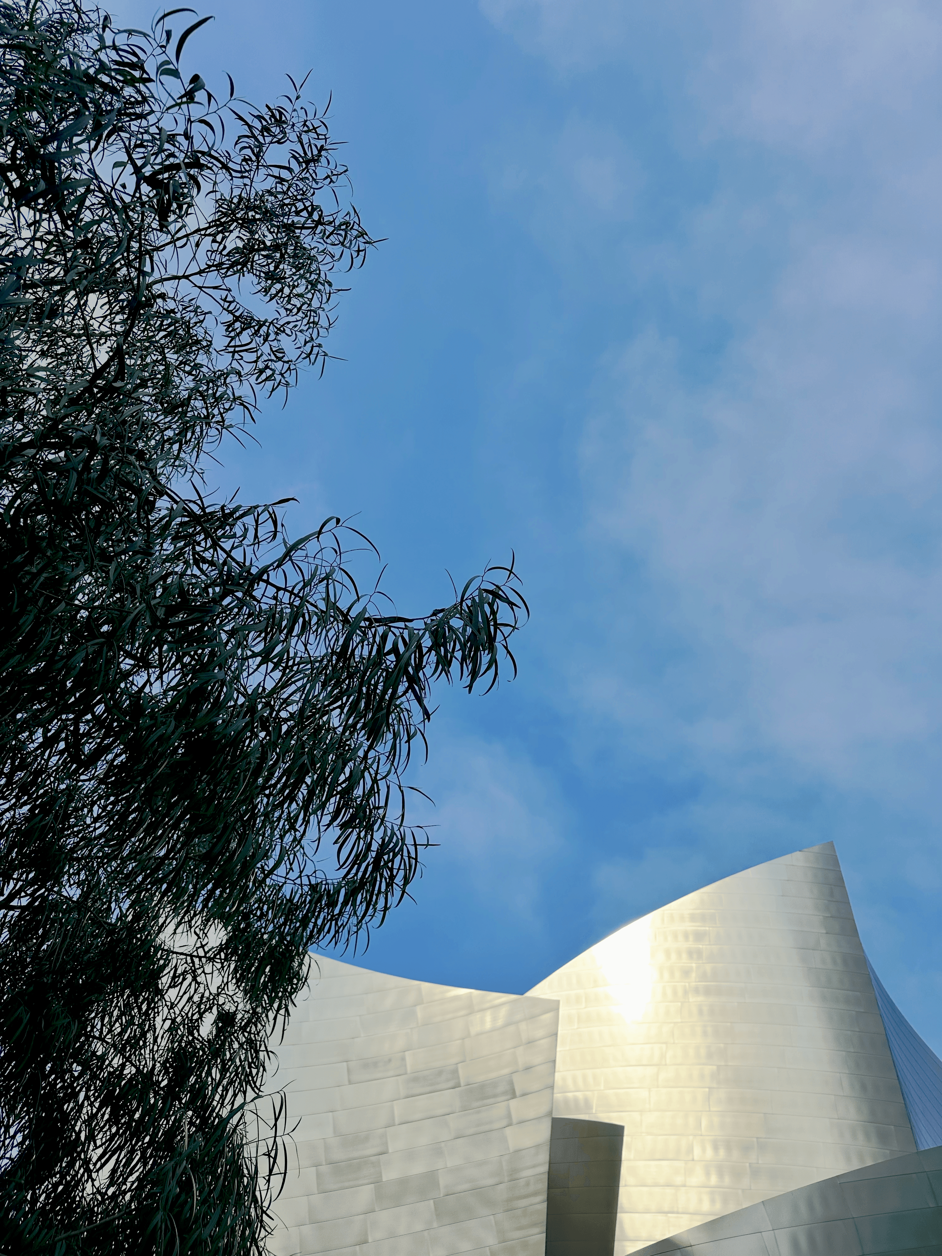 cover-grand-gehry