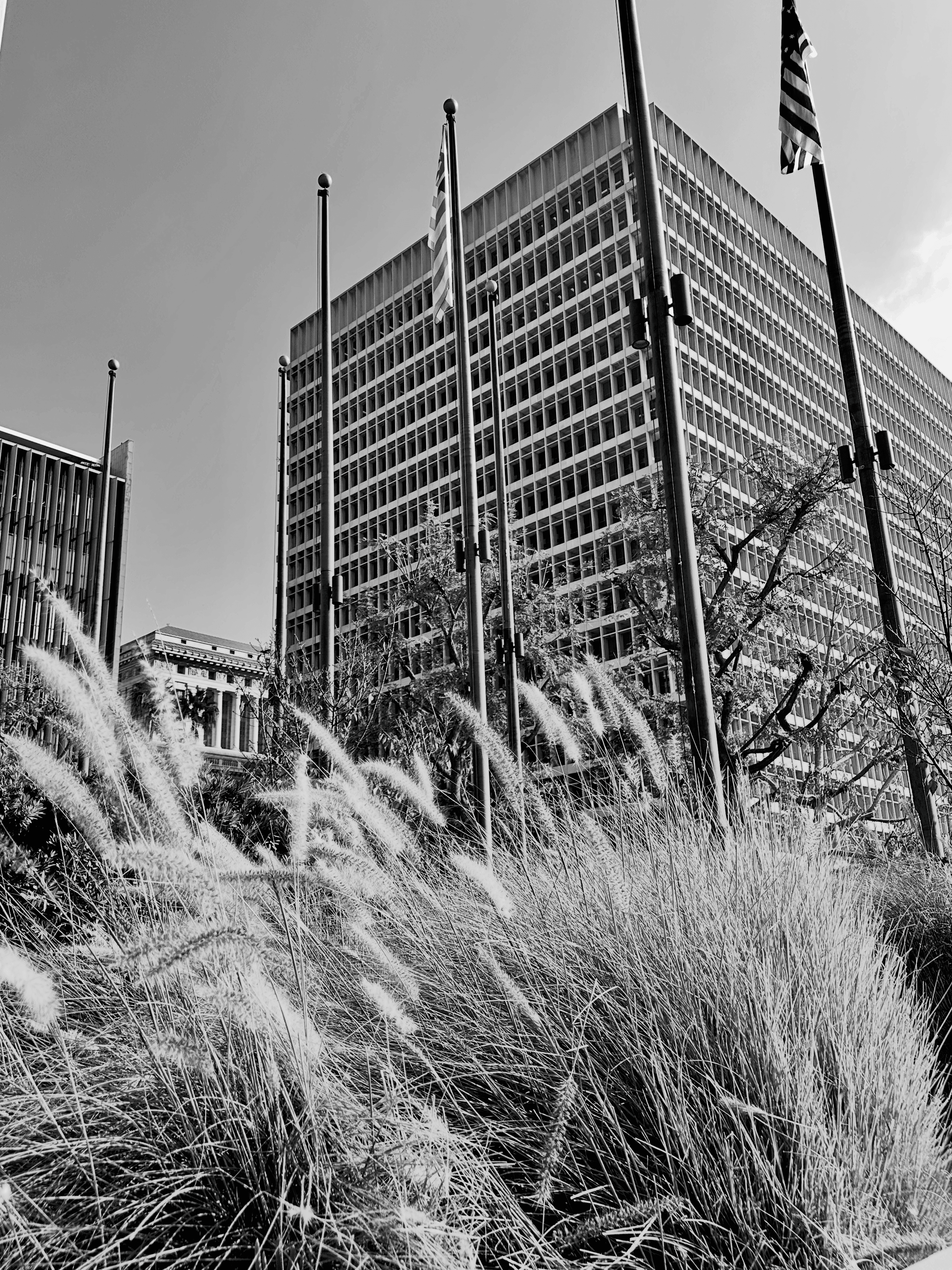 cover-grand-molina-flag